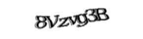 Security check image, please type the characters shown