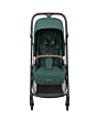 1204047110_2021_maxicosi_stroller_Leona_essentialgreen_front