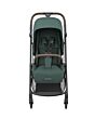 1204047110_2021_01_maxicosi_stroller_Leona_essentialgreen_front_new